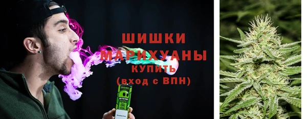 дурь Алзамай