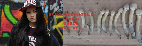 ECSTASY Навашино