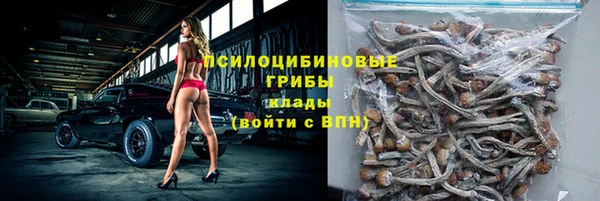 бошки Абинск