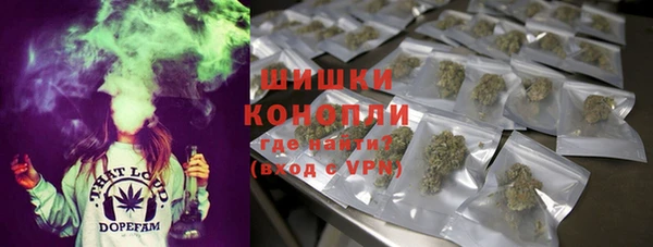 дурь Алзамай