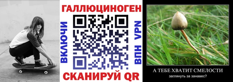 Галлюциногенные грибы Psilocybe  Электроугли 
